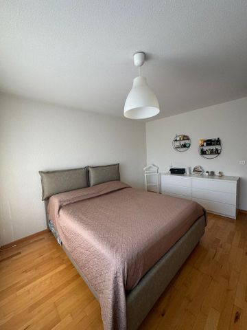 3 Zimmer, 80 m², EG - Foto 2