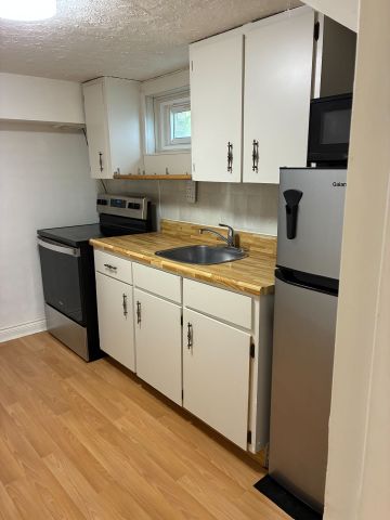 For Lease - 173 Chambers Avenue Unit# Lower, Toronto, Ontario - Photo 4