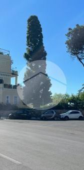 Monolocale in affitto - Photo 1