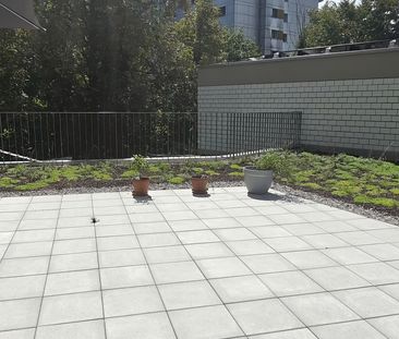 3.5 Zimmer, 83 m², EG - Foto 4