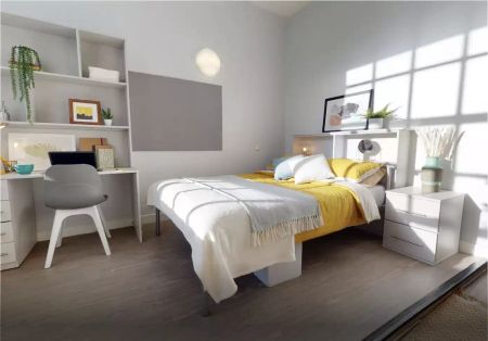 Gold Studio Premium - Photo 5