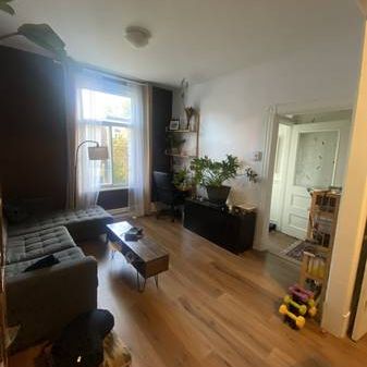 4 1/2 Hochelaga Jan 1-31 Sublet - Photo 1