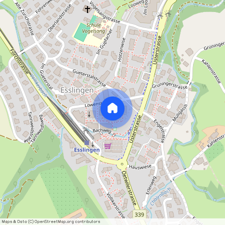 8133, Esslingen, Löwenstrasse, 9