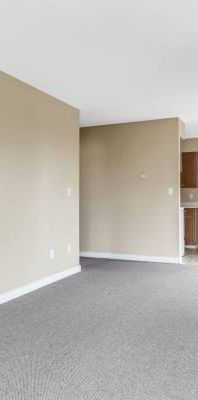 Bachelor Apartment for Rent at Douglas Place - Photo 1