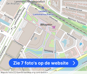 Omegaplantsoen 43 - Foto 1