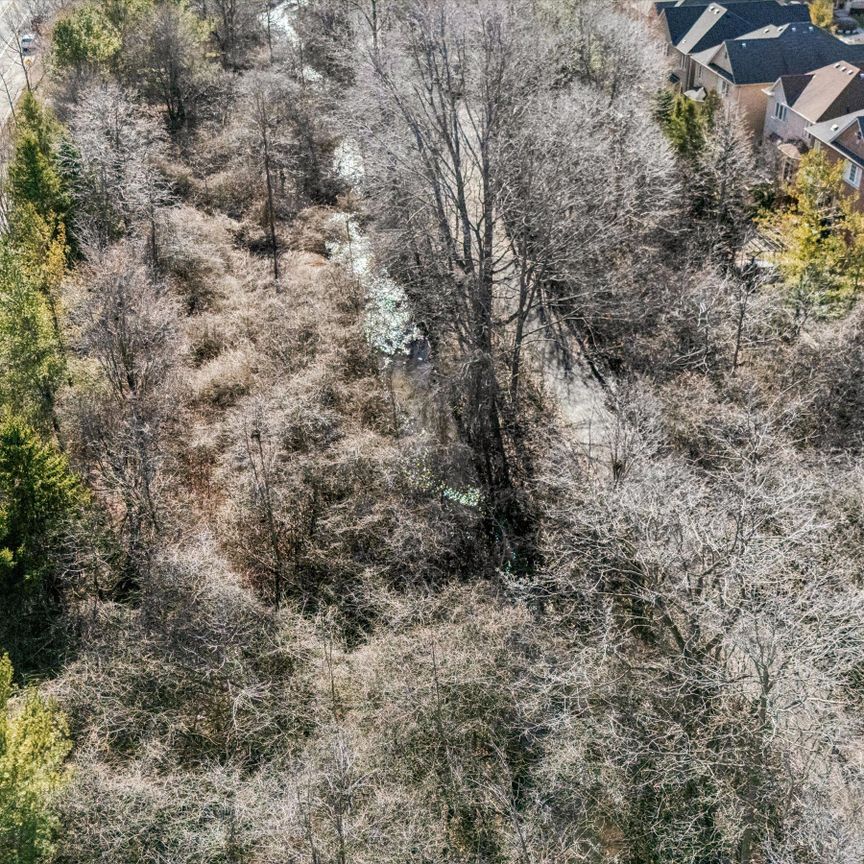 For Lease - 247 Beechtree Crescent, Oakville, Ontario - Photo 1