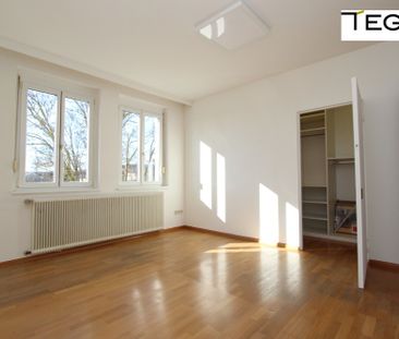 Hagenbrunn - Großzügiges Einfamilienhaus vor den Toren Wiens - Photo 3