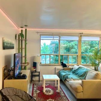 Beautiful, Bright 1 Bedroom Apartment Unit for Rent - Photo 1