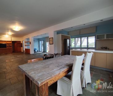 Μονοκατοικία για ενοικίαση Περιβόλια (Ραφήνα) - Photo 5