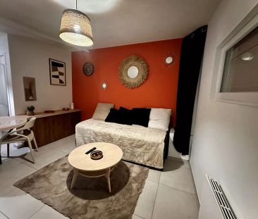 Studio Chamagnieu avec jardinet - Photo 5