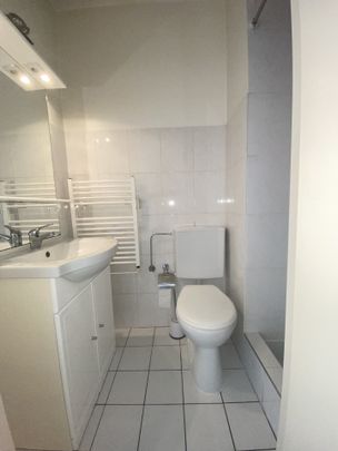 Location Appartement 1 pièce 20m² ST LOUIS 68300 - Photo 1