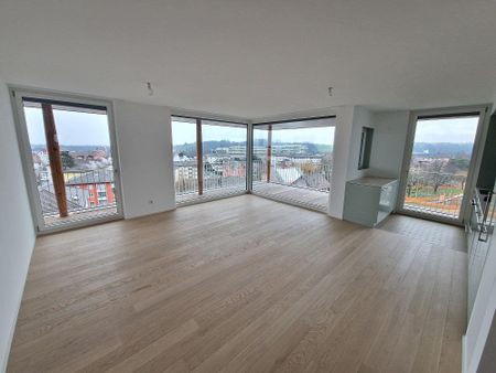 Grand appartement de 3 pièces de 71m2 avec très belle vue sur les Alpes - Photo 3