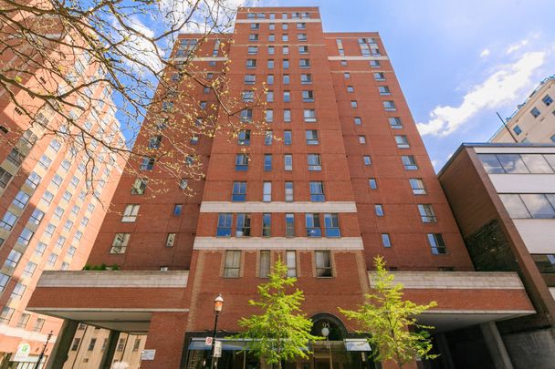 For Lease - 95 Lombard Street Unit# 305, Toronto, Ontario - Photo 1