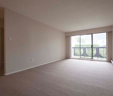 Park Astoria Apartments - 1 Bedroom - Photo 3