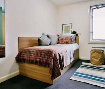 Classic Shared Apartment - Photo 2