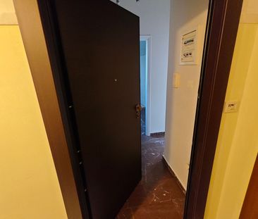 Ενοικίαση κατοικίας, 32 τ.μ., Καλλιθέα, 430 € - Photo 2