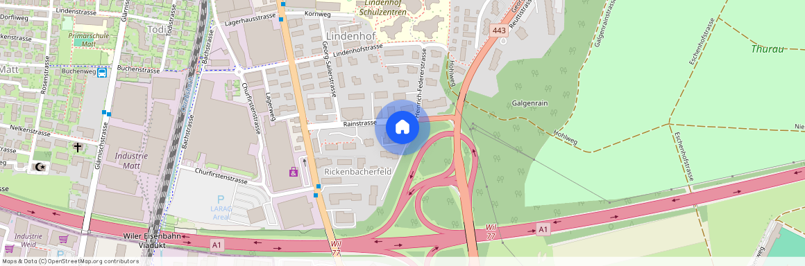 Rainstrasse 14a, 9500 Wil SG