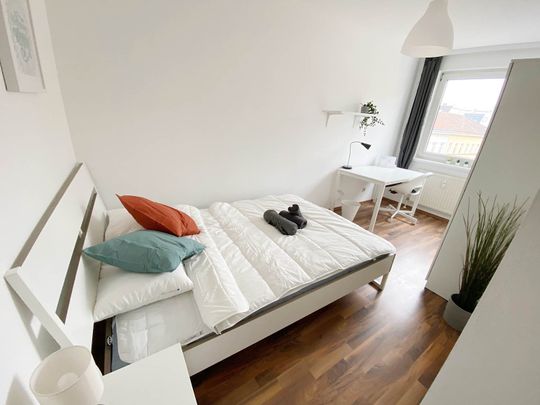 Sonnleithnergasse Top 209 Zimmer 1 - Photo 1