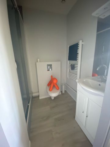Location Appartement 1 pièce 22m² CLERMONT FERRAND 63000 - Photo 5