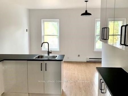 For Lease - 436 Queen Street Unit# 1, Toronto, Ontario - Photo 4