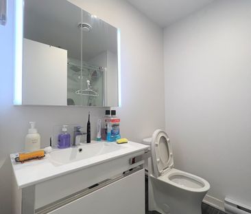 1190 Rue MacKay Montréal (Ville-Marie), QC H3G - Photo 5