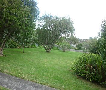 Property Management1 / 46 Watea Rd, Torbay - House for Rent - Photo 6