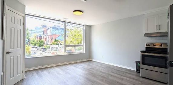 UPDATED KENSINGTON MARKET APARTMENT - Photo 2