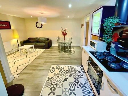 Tudor Street, Cardiff, CF11 - Photo 3