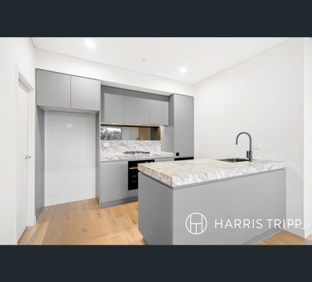 C308/165 Milton Street, Ashbury, NSW 2193 - Photo 4