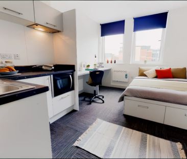 Bronze Studio Plus - Photo 1