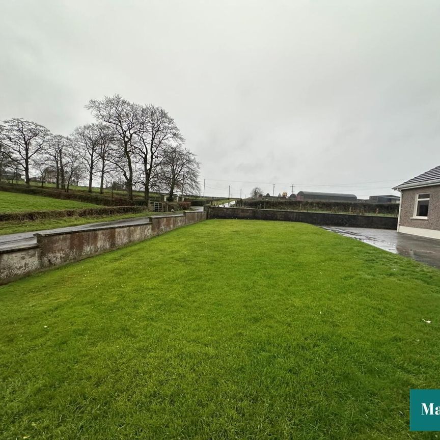 98 Ballygittle Road - Photo 1