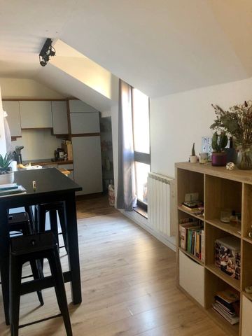 Location Appartement 1 pièce 43m² ANNECY 74000 - Photo 3