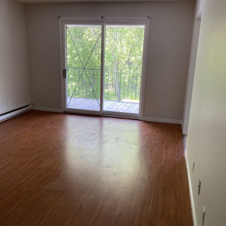 Oak Street Apartments - Photo 3