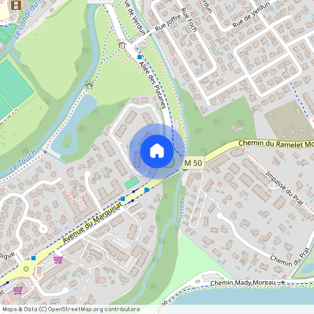 31170, Tournefeuille