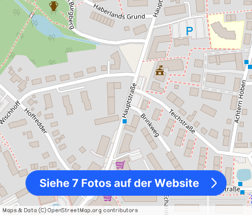 Zeitgemäße 2,5-Zi.-Erdg.-Whg mit Balkon & Pitchpine Boden in ruhige... - Foto 1