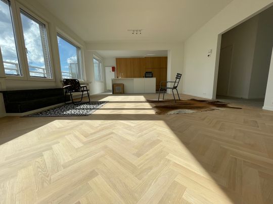 Luxueus en prachtig gerenoveerd appartement van 120m² met 2 grote terrassen gelegen aan het St-Pietersstation, vlakbij diverse winkels, scholen en openbaar vervoer. - Foto 1