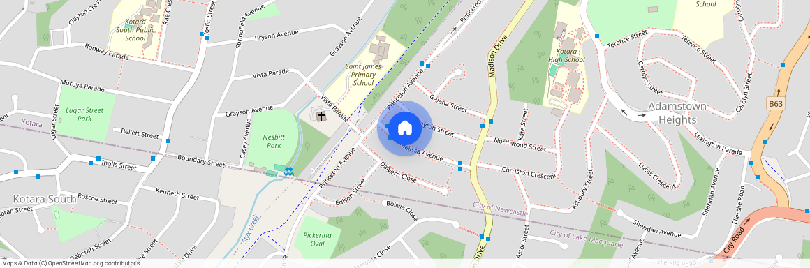 22 Melissa Avenue, Adamstown Heights