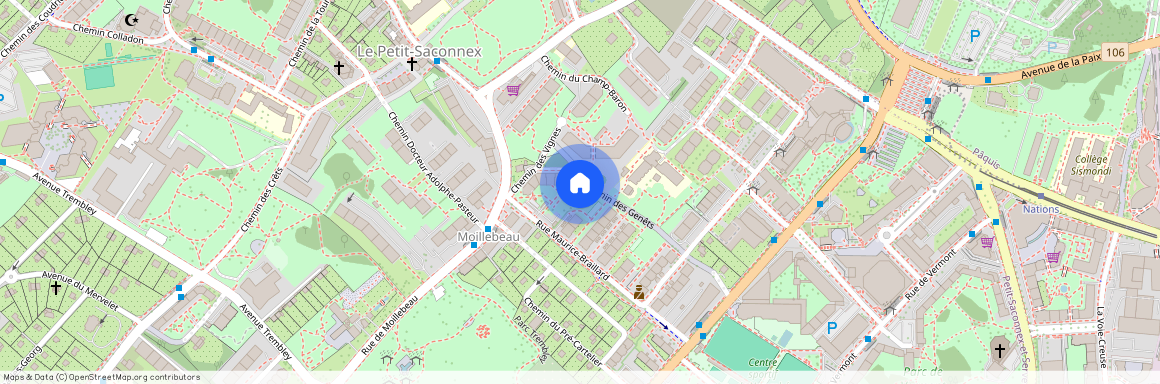 Rue Maurice-Braillard 32, Nations