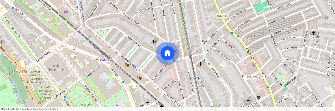 Miskin Street, CF24 4AQ, Cathays