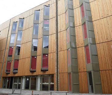 Classic Studio - Photo 5