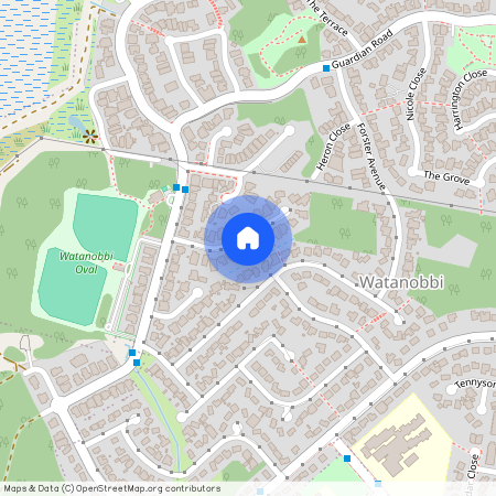 19 Ninian Close, NSW 2259, Watanobbi