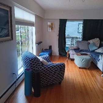 kitsilano 1 br apartment - Photo 3