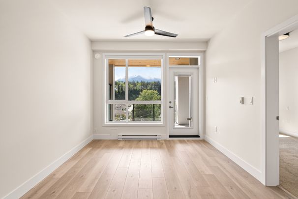 YEARLING - 306 - YE306 - Photo 1