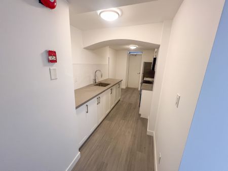 For Lease - 1A LEONARD Avenue Unit# LOWER, Toronto, Ontario - Photo 4