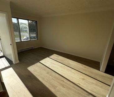 11451 Av. Éthier, Montréal (Montréal-Nord), QC H1H - Photo 3