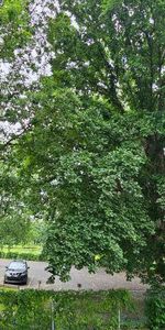 Lumineux, Vue sur le Golf, Tranquil & Chauffé 4 1/2 - Photo 4