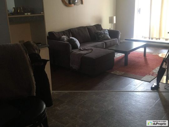 321-23, rue de la Soeur-Jeanne-Marie-Chavoin, Gatineau (Hull) à louer - Photo 1