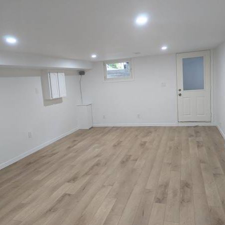 Newly renovated basement apartment, available now - Photo 1