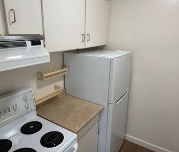 Brand New Renovated Large One Bedroom (Vancouver) - Photo 4