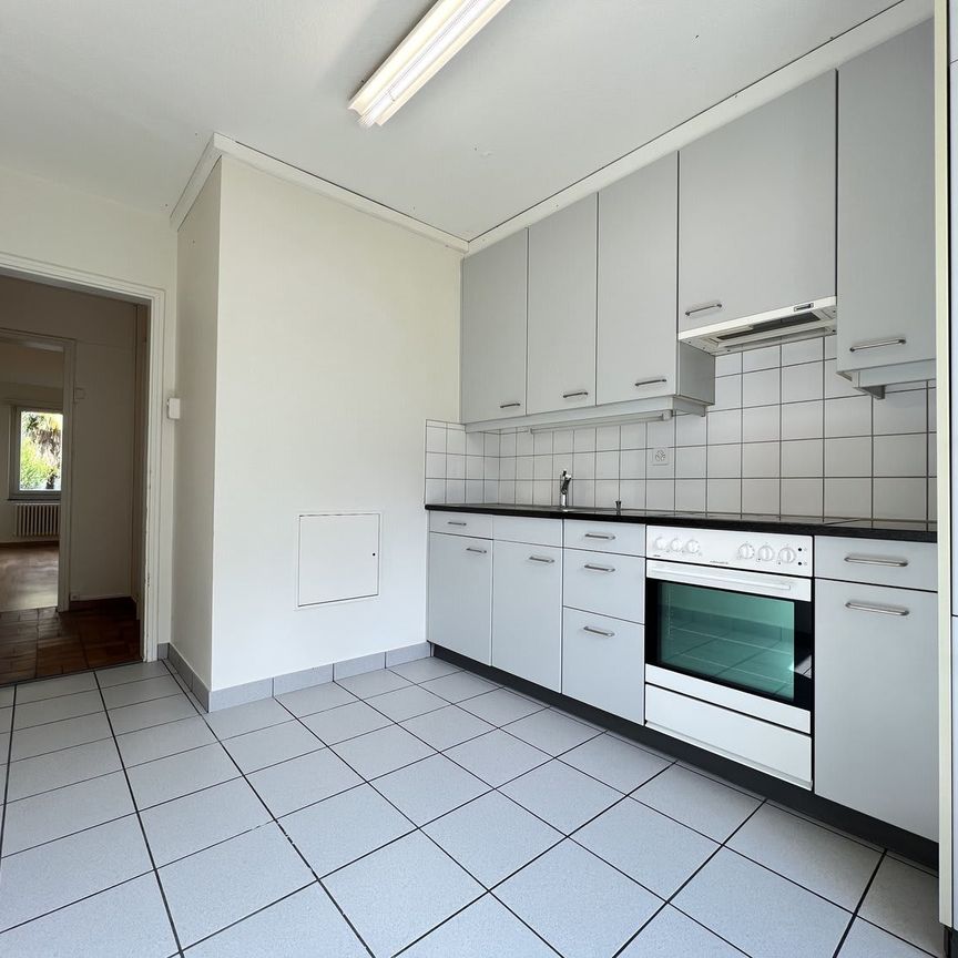 2 Zimmer, 52 m², 1. Stock - Photo 1